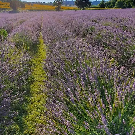 Villetta Con Giardino A 2 Passi Dal Mare Casa de Férias *