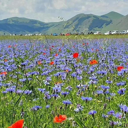 Vakantiehuis Villetta Con Giardino A 2 Passi Dal Mare *