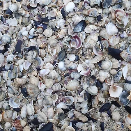 בית נופש Villetta Con Giardino A 2 Passi Dal Mare סניגליה
