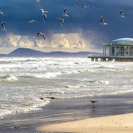 Villetta Con Giardino A 2 Passi Dal Mare *